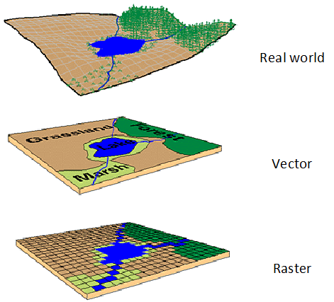 Types of spatial data. Source: [Spatial data models](https://planet.uwc.ac.za/nisl/gis/web_page/page_15.htm)