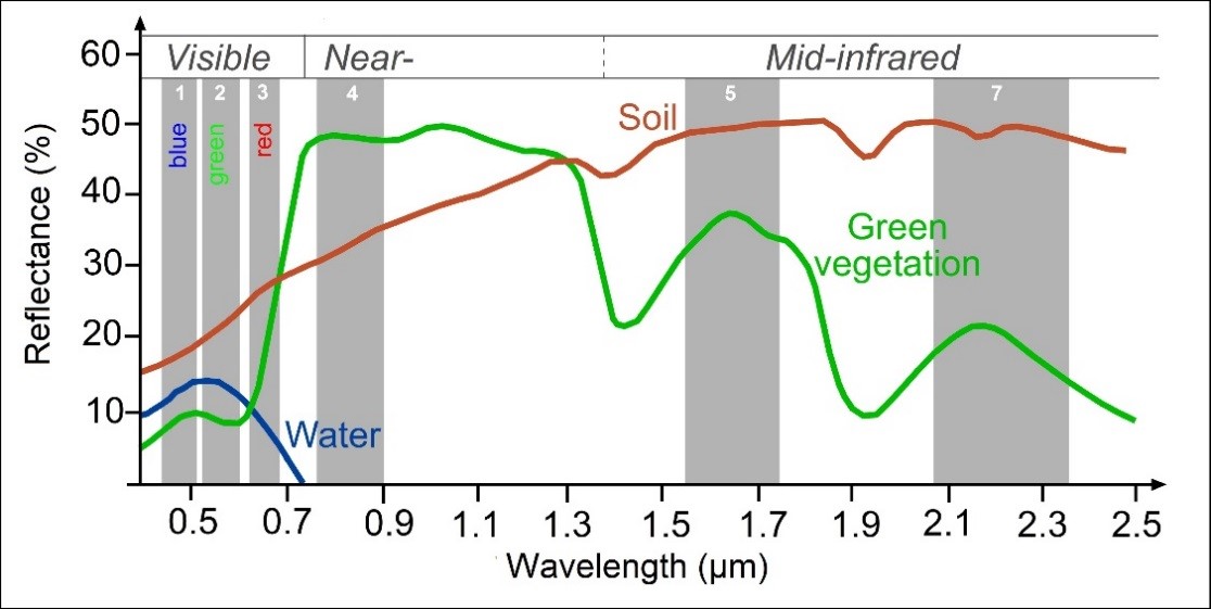 Spectral signatures of different landcover types. Source: [Introduction to Categorisation of Objects from their Data, Science Education through Earth Observation for High Schools (SEOS)](https://seos-project.eu/classification/classification-c01-p05.html)